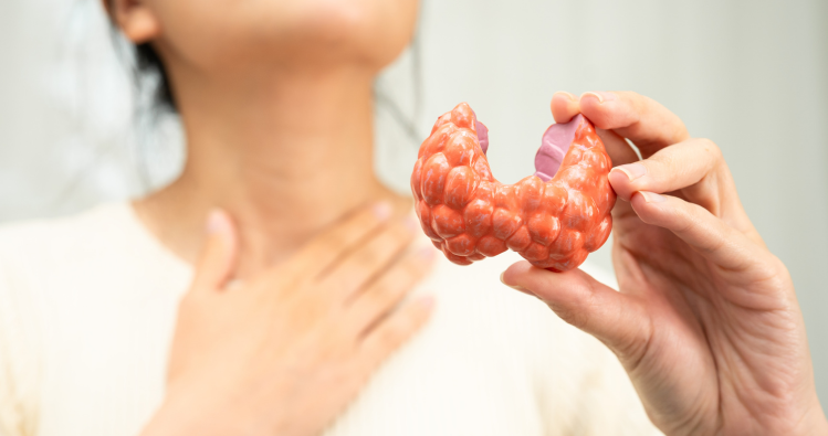 Importance d'un bilan de la thyroïde