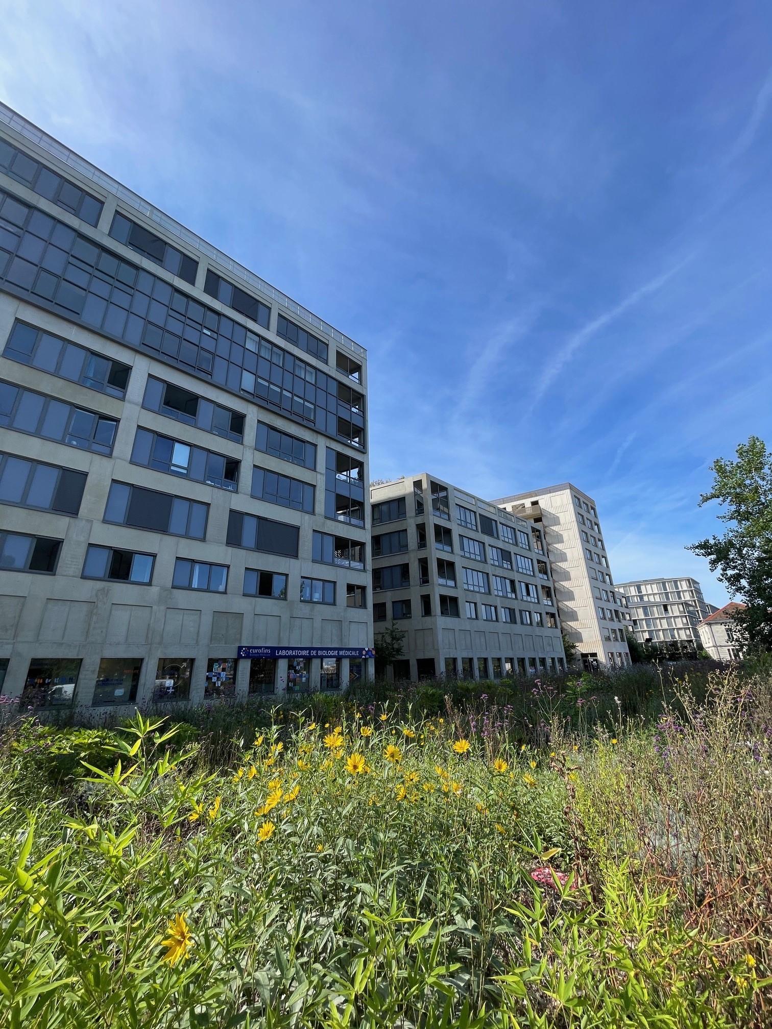 Eurofins - Laboratoire de biologie médicale et fertilité Bordeaux Brazza Rive Droite