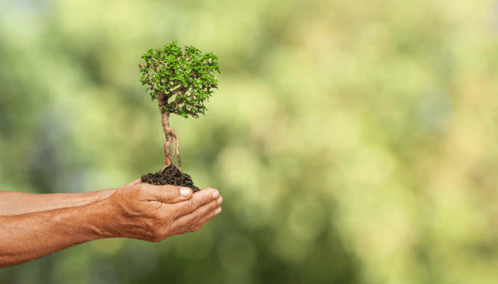 Le jour du dépassement